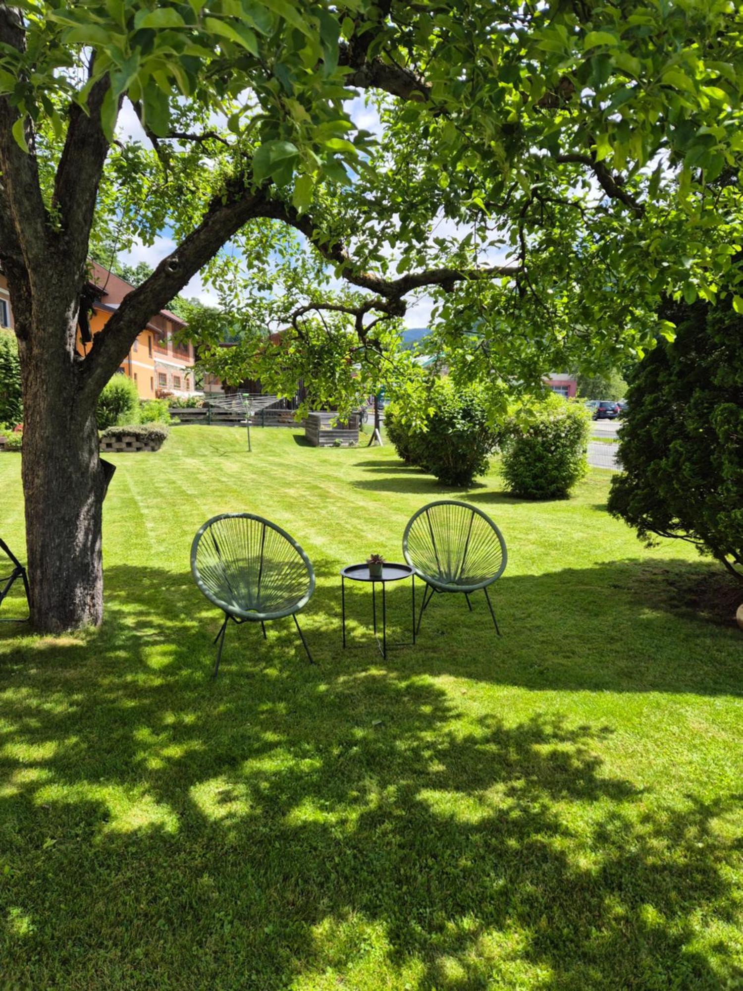 Pension Alte Muehle Гмюнд Экстерьер фото