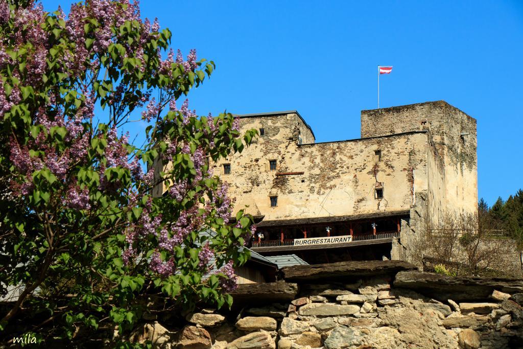 Pension Alte Muehle Гмюнд Экстерьер фото