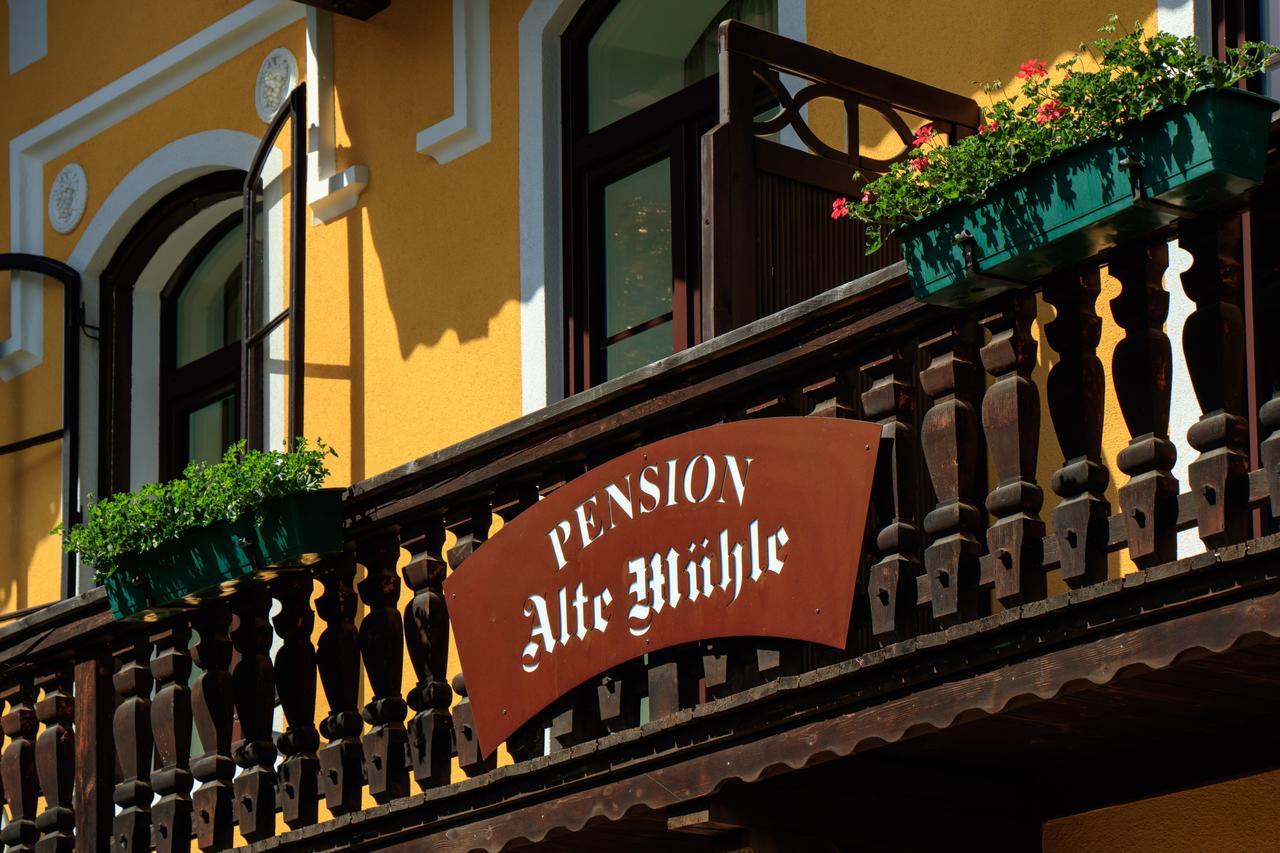 Pension Alte Muehle Гмюнд Экстерьер фото